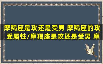 摩羯座是攻还是受男 摩羯座的攻受属性/摩羯座是攻还是受男 摩羯座的攻受属性-我的网站